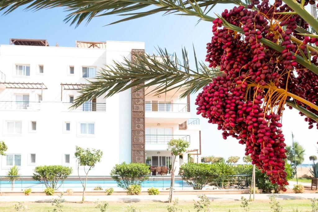 Private Beach Resort Cyprus Vokolidha المظهر الخارجي الصورة
